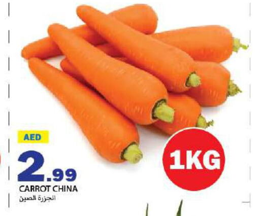  Carrot  in  روابي ماركت عجمان in الإمارات العربية المتحدة , الامارات - الشارقة / عجمان