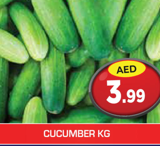  Cucumber  in سنابل بني ياس in الإمارات العربية المتحدة , الامارات - رَأْس ٱلْخَيْمَة