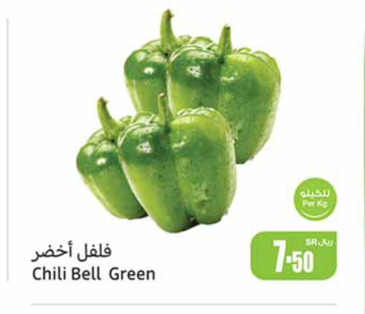  Chilli / Capsicum  in أسواق عبد الله العثيم in مملكة العربية السعودية, السعودية, سعودية - نجران