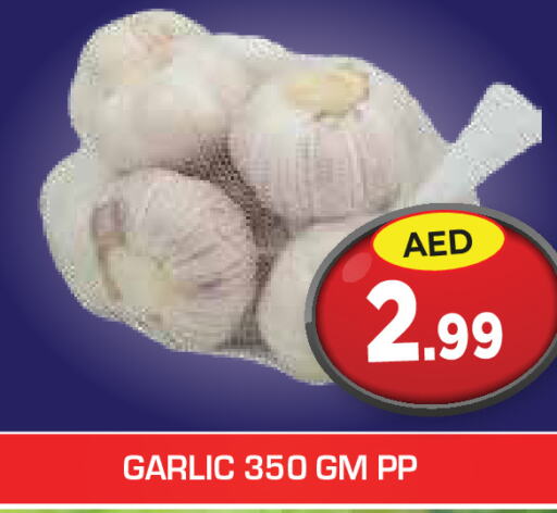  Garlic  in سنابل بني ياس in الإمارات العربية المتحدة , الامارات - رَأْس ٱلْخَيْمَة