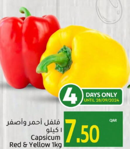  Chilli / Capsicum  in جلف فود سنتر in قطر - الوكرة