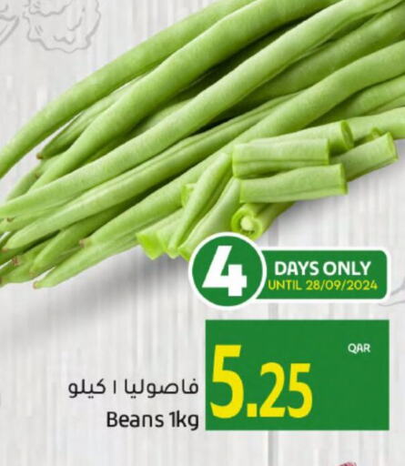  Beans  in جلف فود سنتر in قطر - الوكرة