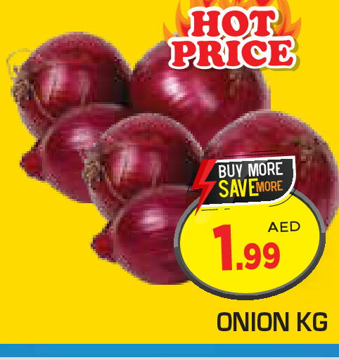  Onion  in سنابل بني ياس in الإمارات العربية المتحدة , الامارات - رَأْس ٱلْخَيْمَة