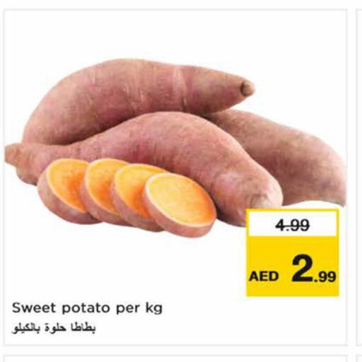  Sweet Potato  in نستو هايبرماركت in الإمارات العربية المتحدة , الامارات - الشارقة / عجمان