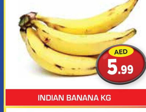  Banana  in سنابل بني ياس in الإمارات العربية المتحدة , الامارات - ٱلْعَيْن‎