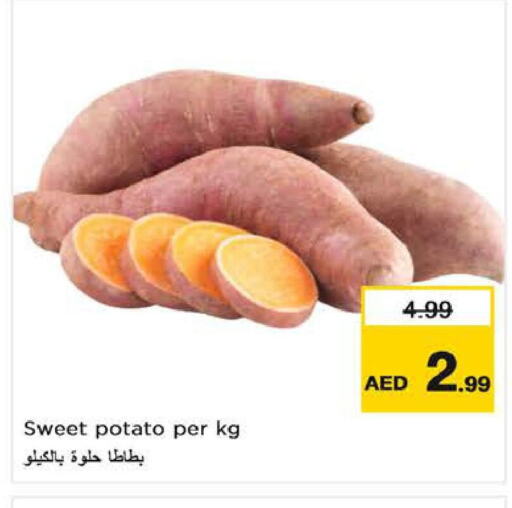  Sweet Potato  in نستو هايبرماركت in الإمارات العربية المتحدة , الامارات - دبي