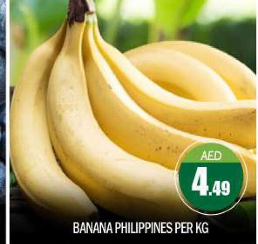  Banana  in BIGmart in UAE - Abu Dhabi