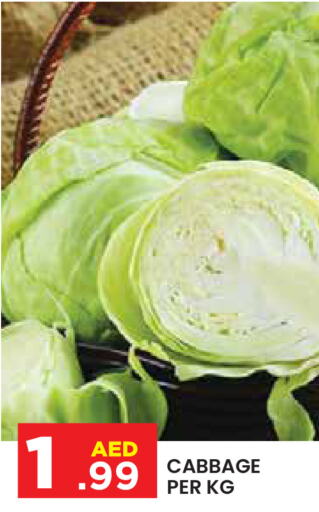  Cabbage  in Baniyas Spike  in UAE - Abu Dhabi