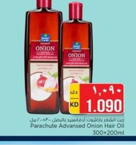 PARACHUTE Hair Oil  in Nesto Hypermarkets in Kuwait - Ahmadi Governorate