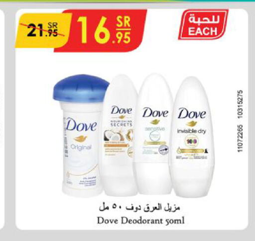 DOVE   in Danube in KSA, Saudi Arabia, Saudi - Jazan