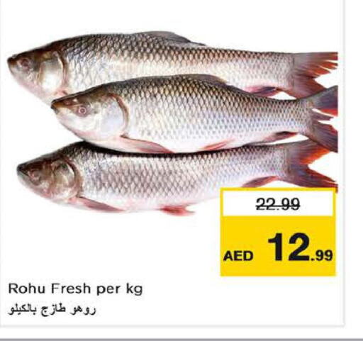    in Nesto Hypermarket in UAE - Fujairah