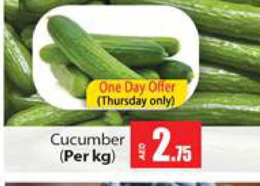  Cucumber  in Gulf Hypermarket LLC in UAE - Ras al Khaimah