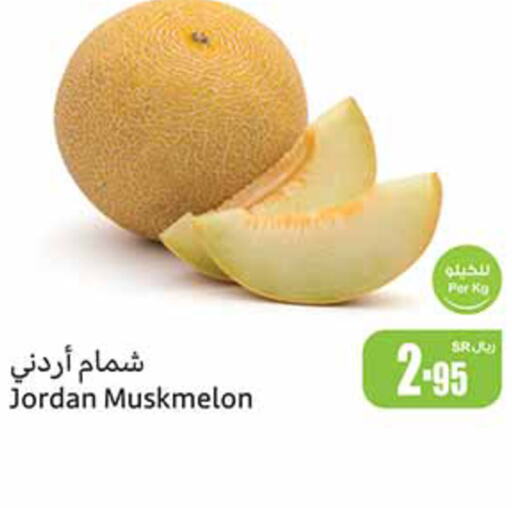  Sweet melon  in أسواق عبد الله العثيم in مملكة العربية السعودية, السعودية, سعودية - بريدة