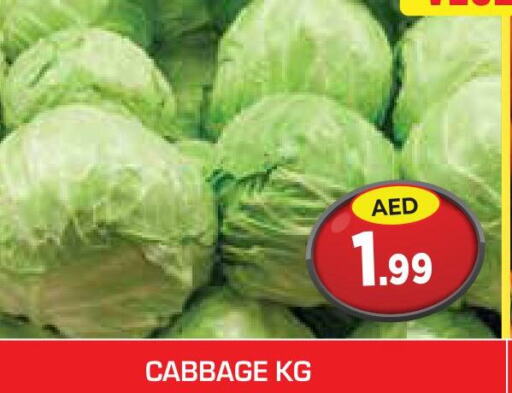  Cabbage  in سنابل بني ياس in الإمارات العربية المتحدة , الامارات - ٱلْعَيْن‎