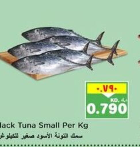  Tuna  in Nesto Hypermarkets in Kuwait