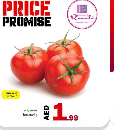  Tomato  in  روابي ماركت عجمان in الإمارات العربية المتحدة , الامارات - الشارقة / عجمان