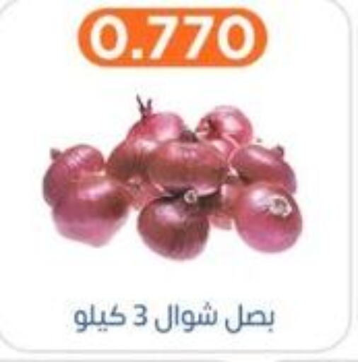  Onion  in جمعية اشبيلية التعاونية in الكويت - مدينة الكويت