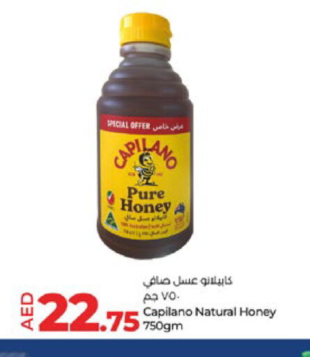  Honey  in Lulu Hypermarket in UAE - Abu Dhabi