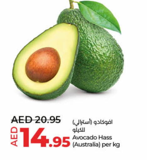  Avacado  in لولو هايبرماركت in الإمارات العربية المتحدة , الامارات - ٱلْفُجَيْرَة‎