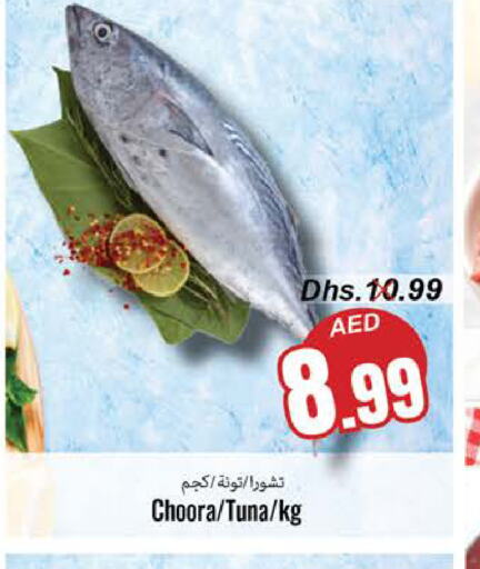  Tuna  in PASONS GROUP in UAE - Fujairah