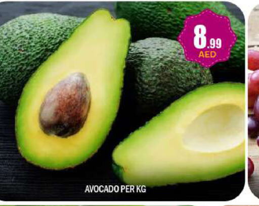  Avacado  in بيج مارت in الإمارات العربية المتحدة , الامارات - أبو ظبي