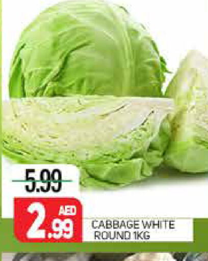  Cabbage  in مركز النخيل هايبرماركت in الإمارات العربية المتحدة , الامارات - الشارقة / عجمان