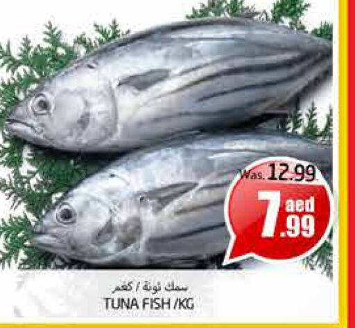  Tuna  in PASONS GROUP in UAE - Al Ain