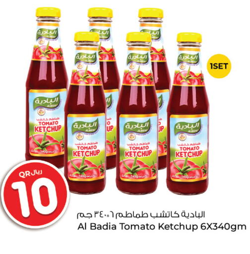  Tomato Ketchup  in Rawabi Hypermarkets in Qatar - Doha