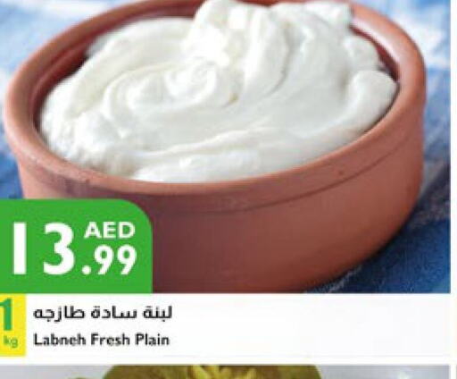  Labneh  in Istanbul Supermarket in UAE - Dubai