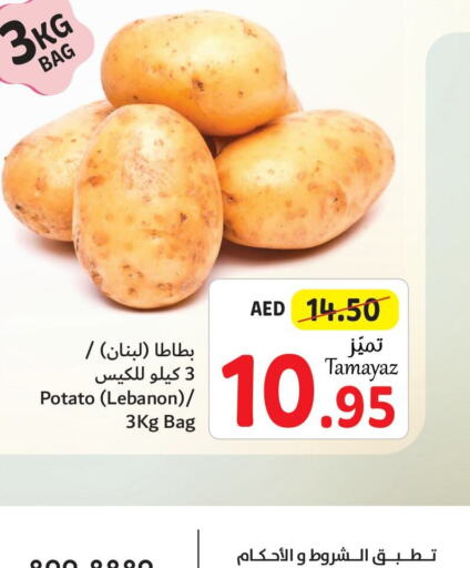  Potato  in تعاونية الاتحاد in الإمارات العربية المتحدة , الامارات - أبو ظبي