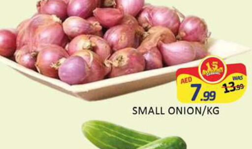  Onion  in Al Madina  in UAE - Dubai