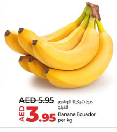  Banana  in لولو هايبرماركت in الإمارات العربية المتحدة , الامارات - ٱلْعَيْن‎