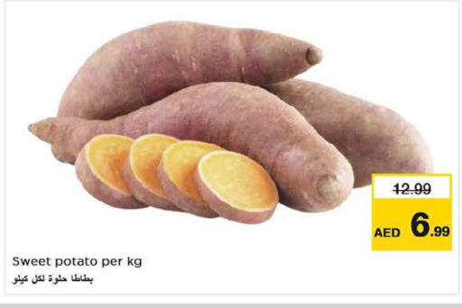  Sweet Potato  in نستو هايبرماركت in الإمارات العربية المتحدة , الامارات - دبي