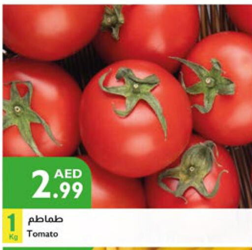  Tomato  in Istanbul Supermarket in UAE - Abu Dhabi