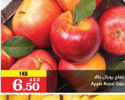  Apples  in تروليز سوبرماركت in الإمارات العربية المتحدة , الامارات - الشارقة / عجمان