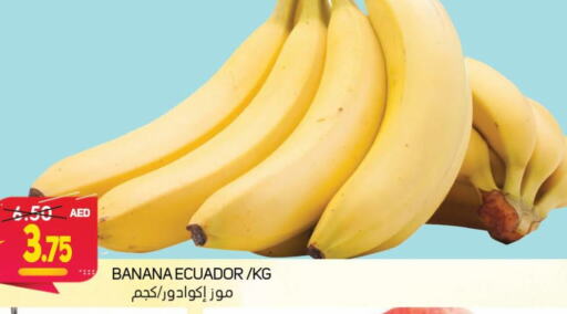  Banana  in سوق المبارك هايبرماركت in الإمارات العربية المتحدة , الامارات - الشارقة / عجمان