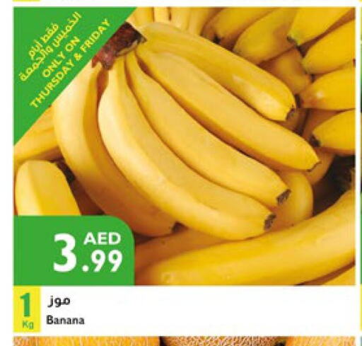  Banana  in إسطنبول سوبرماركت in الإمارات العربية المتحدة , الامارات - الشارقة / عجمان