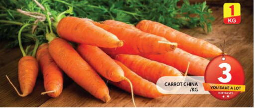  Carrot  in جراند هايبر ماركت in الإمارات العربية المتحدة , الامارات - الشارقة / عجمان