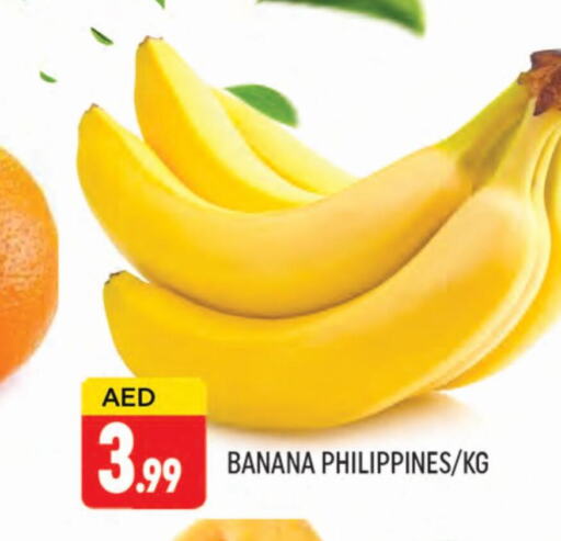  Banana  in المدينة in الإمارات العربية المتحدة , الامارات - دبي