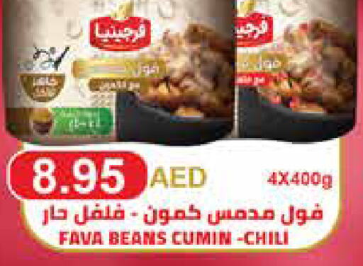  Fava Beans  in ايـــرث سوبرماركت in الإمارات العربية المتحدة , الامارات - دبي