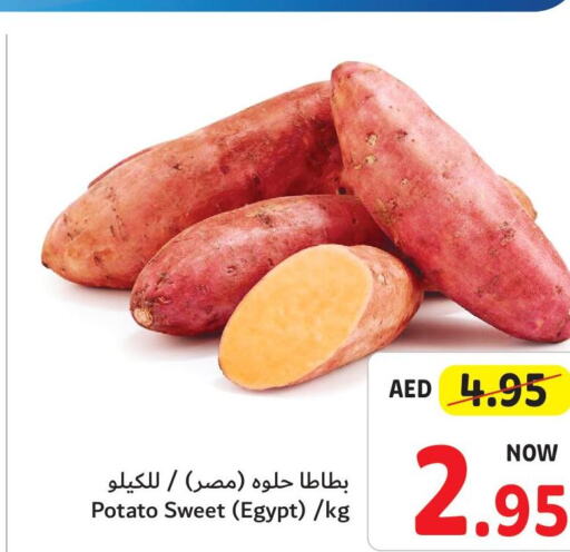  Sweet Potato  in تعاونية أم القيوين in الإمارات العربية المتحدة , الامارات - أم القيوين‎