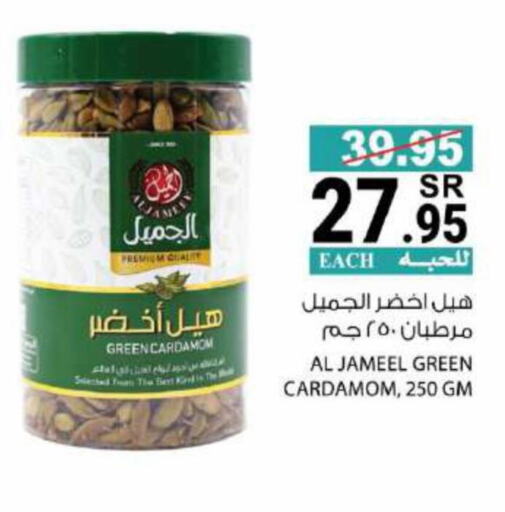  Dried Herbs  in House Care in KSA, Saudi Arabia, Saudi - Mecca