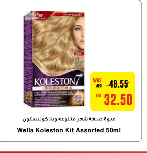 WELLA   in ايـــرث سوبرماركت in الإمارات العربية المتحدة , الامارات - أبو ظبي