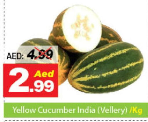  Cucumber  in ديزرت فريش ماركت in الإمارات العربية المتحدة , الامارات - أبو ظبي