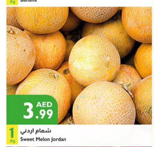  Sweet melon  in Istanbul Supermarket in UAE - Al Ain