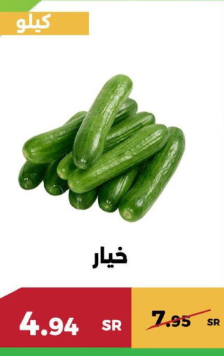  Cucumber  in حدائق الفرات in مملكة العربية السعودية, السعودية, سعودية - مكة المكرمة