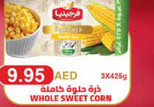    in Earth Supermarket in UAE - Sharjah / Ajman