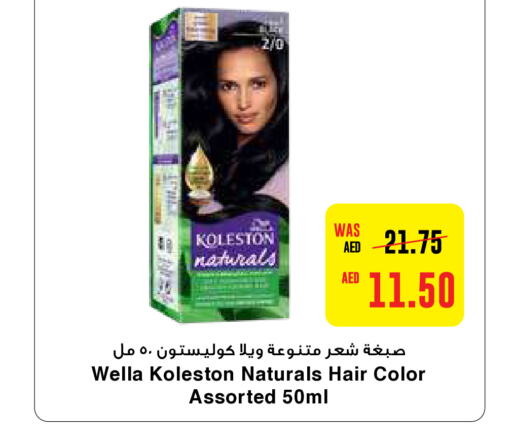 WELLA صبغة شعر  in ايـــرث سوبرماركت in الإمارات العربية المتحدة , الامارات - أبو ظبي