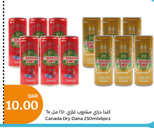 CANADA DRY   in City Hypermarket in Qatar - Doha