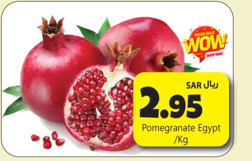  Pomegranate  in مركز التسوق نحن واحد in مملكة العربية السعودية, السعودية, سعودية - المنطقة الشرقية